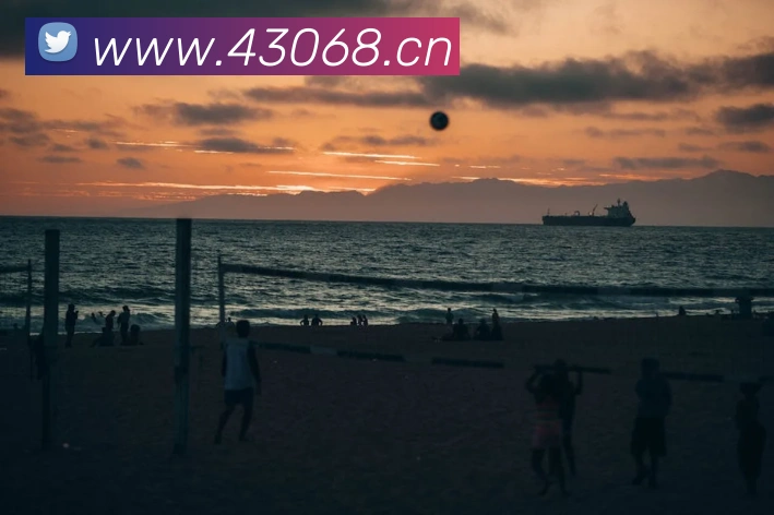 mk体育最新网站发展历程