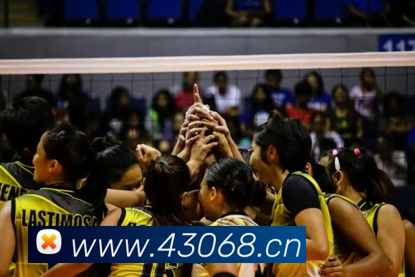 冬奥会主题征文评选揭晓获奖作品聚焦冰雪精神与青少年参与